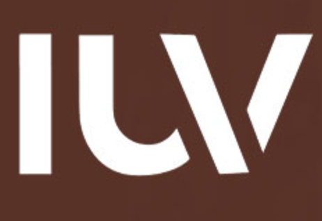 Iuv Cowboy Boots